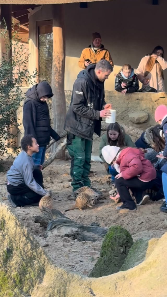 Start der Zooaktion 2026. Die erste Gruppe Kinder von @krebskinderkrefeld und @jojouerdingen haben einen Tag im @zookrefeld mit ganz besonderen Tiererlebnissen verbracht.
Für die Familien der Kinder, die mit ihrer Gesundheit kämpfen, gab es wieder Familienjahreskarten, um dem Alltag auch nur für kurze Besuche bei den Tieren entfliehen zu können.
DANKE an alle Unterstützer/innen und Spender/innen. #nrwinklusiv #schwesterherzenkrefeldhilft