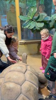 Tolle Tiererlebnisse für diese mutigen Kinder.
DANKE @krebskinderkrefeld und @zookrefeld für diese schönen Momente in 2026! Wir konnten wieder 20 Familien mit Jahreskarten beschenken, um in einer herausfordernden Zeit auch nur für kurze Momente schöne Ablenkungen zu ermöglichen.